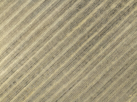 Aerial view of agricultural fields with distinct diagonal furrows in the rural landscape of Aschheim, Bavaria, Germany.