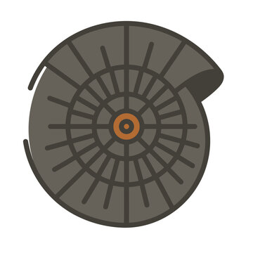 Minimalist Ammonite Fossil Spiral Shell Vector Illustration Isolated on White