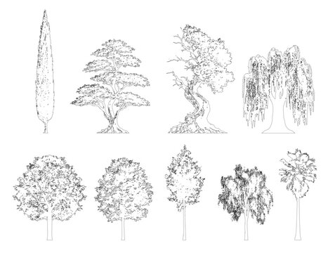 Editable line-art tree set for architectural and landscape design projects