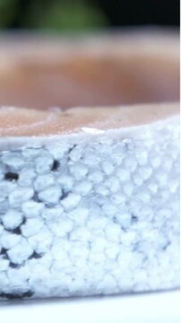Macro Close-Up of Fresh Raw Salmon Fish Skin Texture