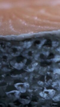 Close-up macro shot of raw salmon fish fillet skin texture
