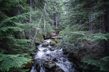 Northern Cascades in the Summer © Spear Photography