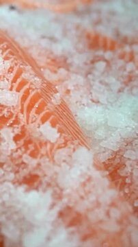 Raw Salmon Fillets Seasoned with Sea Salt Crystals