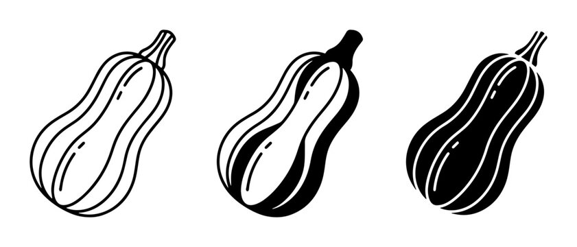Butternut Squash Outline Filled Silhouette PNG food