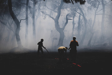 Obraz premium Firefighters Battling a Forest Wildfire Through Thick Smoke. Emergency Crew Fighting a Wildfire in the Forest. Firefighters Extinguishing a Forest Fire Amid Heavy Smoke.