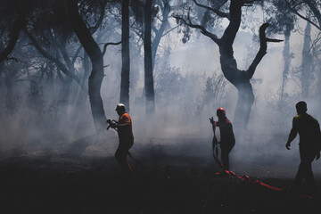 Obraz premium Firefighters Battling a Forest Wildfire Through Thick Smoke. Emergency Crew Fighting a Wildfire in the Forest. Firefighters Extinguishing a Forest Fire Amid Heavy Smoke.