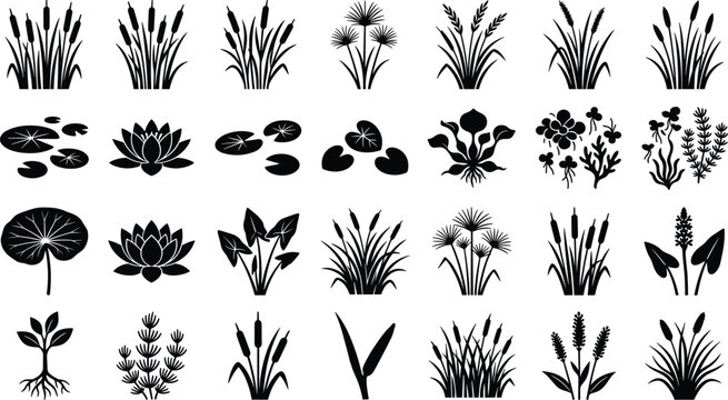 Aquatic plants, water lilies, reeds, and marsh flora black silhouette icon vector set.