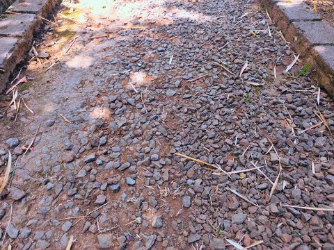 Gravel path with concrete border and dry leaves