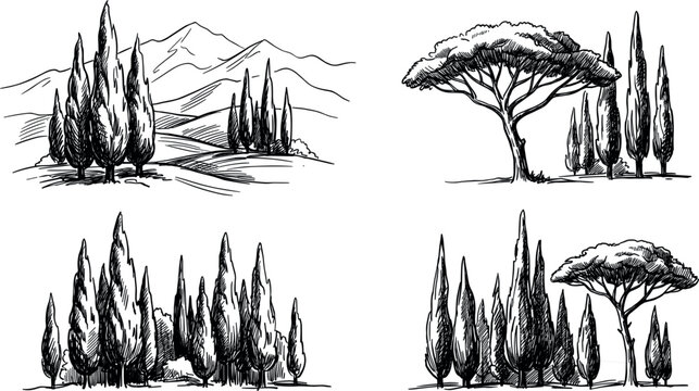Hand drawn tuscan landscape elements vector sketch set with cypress trees stone pines and mountains in vintage engraved style for italian design