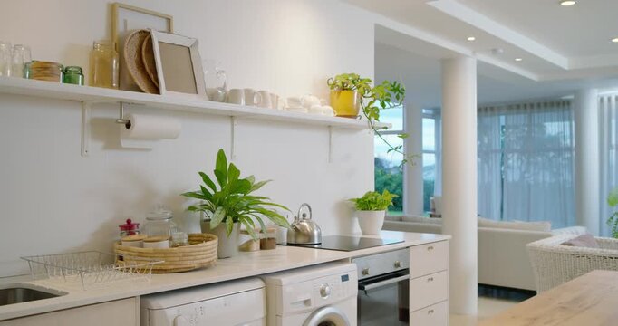 Camera is panning rightward, revealing open kitchen counter with shelf and plants, showing layout