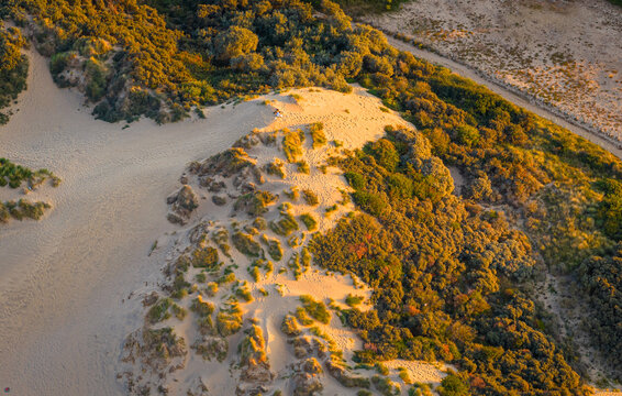 Camber Sands Aerial View After Sunrise Along the East Sussex Coast England