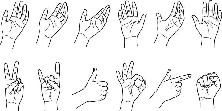 Collection of hand gestures and sign language vector line art illustration elements isolated on a plain white background for infographic designs.