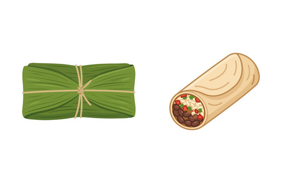 Mexican traditional food vector illustration of tamale wrapped in leaves and burrito