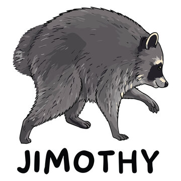 Jimothy Raccoon The Feral Legend Team Jimothy Seattle, Washington Summer T-shirt Design Illustration