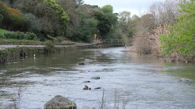Merri Creek flowing through Coburg Lake Reserve in Coburg, Melbourne, Victoria, Australia. A rocky stream is bordered by a stone retaining wall and stone path. Riverside walking trail in winter.