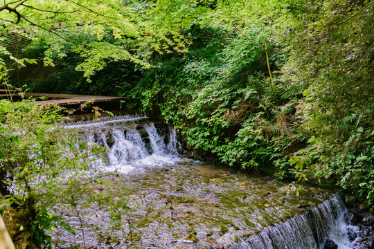 waterfall in the forest 貴船神社 京都 夏 [Kyoto Kifune Shrine]