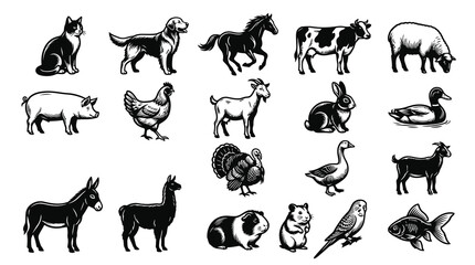 Obraz premium Domestic Animals Black White Line Art Collection: Farm, Livestock Pet Illustrations Set