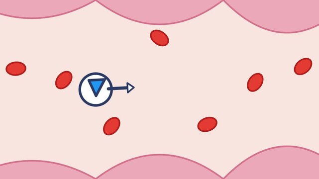 Cartoon animation of an immune cell attacking and destroying a green pathogen inside a blood vessel with flowing red cells