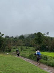 Obraz premium Local Mountain Porter Transporting Camping Equipment Along Forest Trek