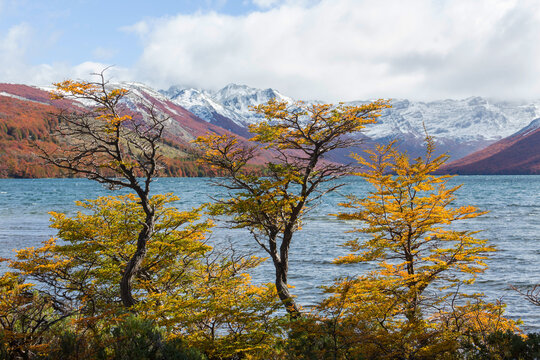 Autumn in mountains