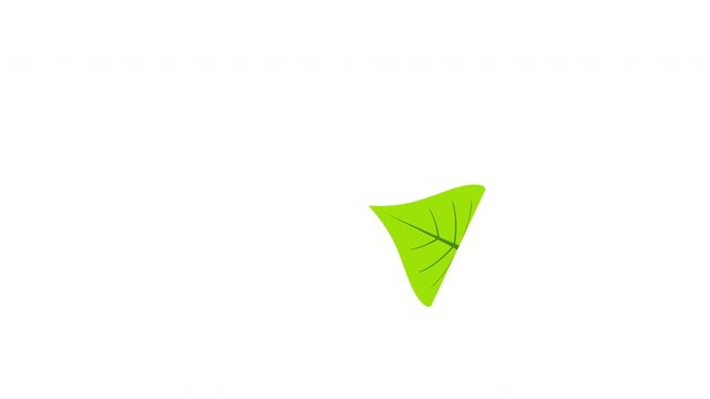 Single stylized green leaf floating down gracefully isolated on transparent background overlay Prores Alpha 4K 60 fps
