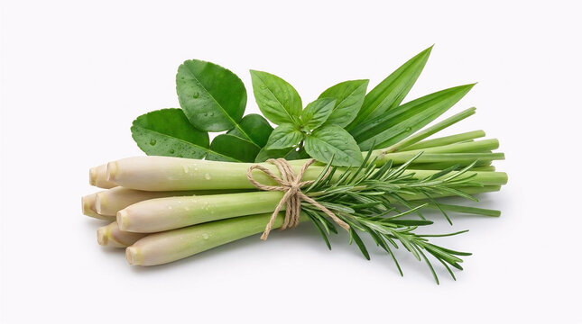 A fresh bunch of exotic herb bundles consisting of organic lemongrass stalks with kaffir lime leaves, aromatic basil, and rosemary on a white background