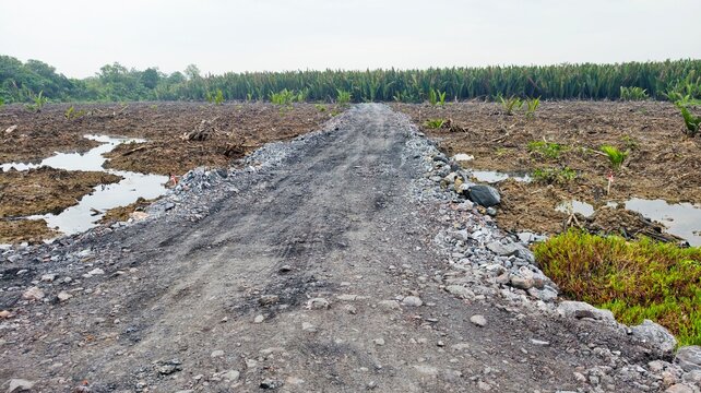 A wide shot of a newly constructed, unpaved gravel and rock access road stretching straight through a cleared agricultural or industrial site. On either side of the rough dirt pathway lies muddy terra