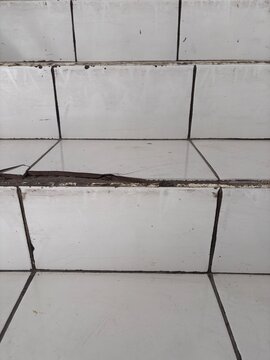 Close-up of cracked white ceramic stair tile showing visible damage and fractures. Concept of home maintenance, renovation, construction defects, safety hazard, and property repai