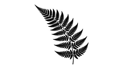 Fern leaf silhouette against a plain white background creates a striking contrast, highlighting the delicate structure of the plant. © MstRahela