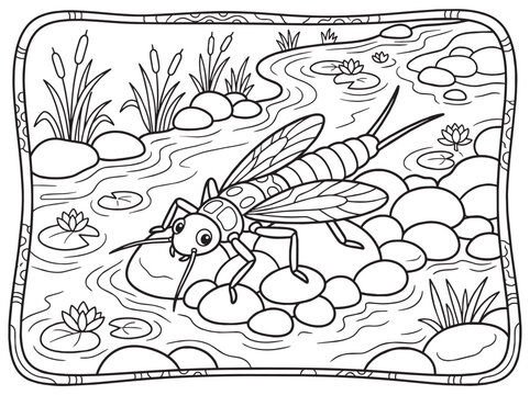 Nature Themed Kids Coloring Page Featuring a Cute Insect on Rocks by a River, Educational Lineart Activity with Water Lilies and Plants Outline Illustration