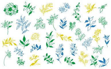 Obraz premium Hand-Painted Boho Botanical Vector Line Art Set with Doodle-Style Wildflowers, Berries, and Leaves for Wedding Invitations, Surface Design, and Greeting Cards. Vector file. 