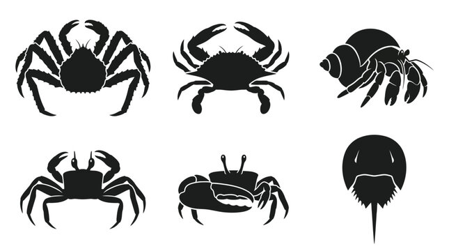 Black silhouette icons set of various crabs and marine crustaceans isolated on white background.
