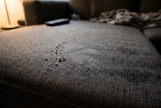 Close up of a fabric living room sofa seat cushion showing slight pilling and a faint stain