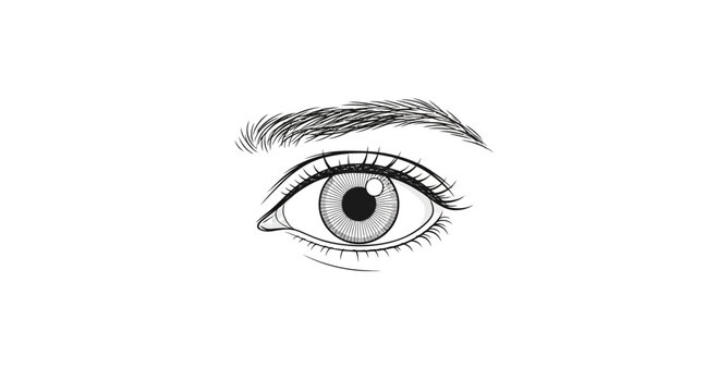 Close-up hand-drawn illustration of a human eye with eyebrow