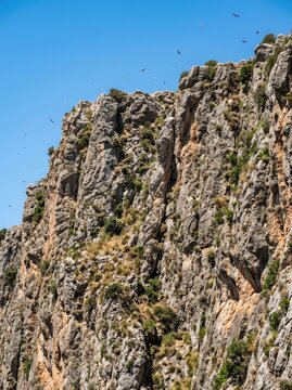 A rocky cliff face rises steeply against a clear blue sky. Numerous birds are flying around the summit.