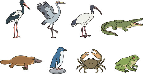 Obraz premium Australian Wetlands and Coastline Animals Vector Set Featuring Crane Stork Ibis Crocodile Platypus Fairy Penguin Crab and Tree Frog Cartoon Icons Graphic