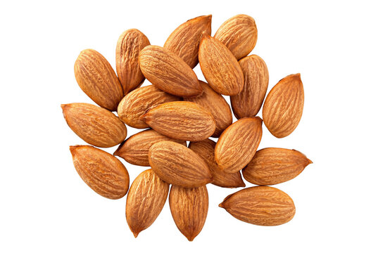A cluster of raw apricot kernels or almonds