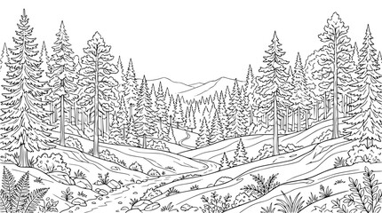 Fototapeta premium forest landscape coloring page with pine trees mountains and winding path line art