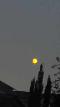 Bright Moon Shining Through the Night Sky Creating a Peaceful Evening Nature Scene