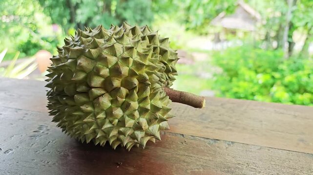 A fresh durian fruit on a wooden table.