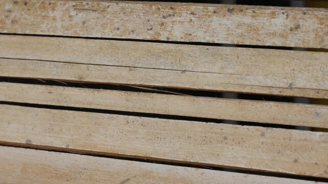 Close Up of Weathered Wooden Plank Texture