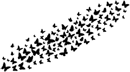 Obraz premium Butterfly silhouettes floating set with delicate wings featuring monochrome design, nature elements, and soft shadows with abstract shapes