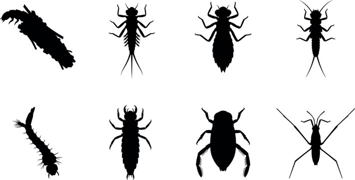 Silhouettes of aquatic insect larvae and nymphs for ecology, science, and design projects