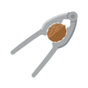 Nutcracker tool with walnut, isolated on white background. Healthy food concept.