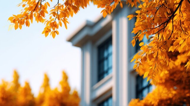 Vibrant autumn leaves frame a classic building's facade under a clear sky, symbolizing seasonal beauty.