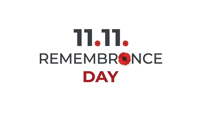 Remembrance day text design with a red poppy flower isolated on a white background for memorial events