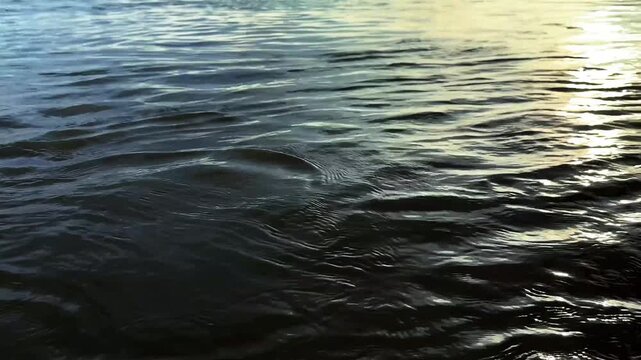 Water Waves Reflection Glowing Under Bright Natural Sunlight On Surface