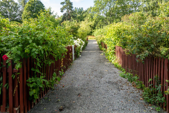 Stockholm, Sweden Wooden fences and a path through the Tanto landmark commuity garden plots in the Sodermalm district.