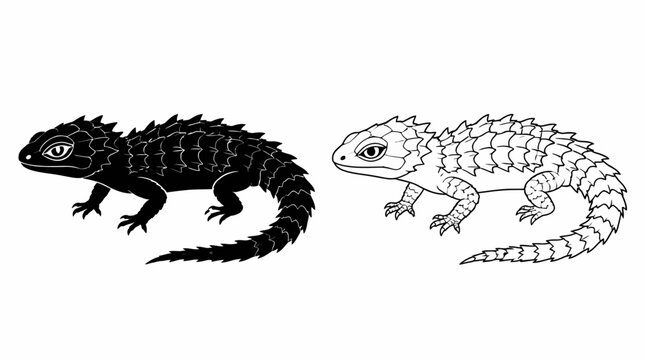 Armadillo Girdled Lizard Vector Illustration in Silhouette and Line Art