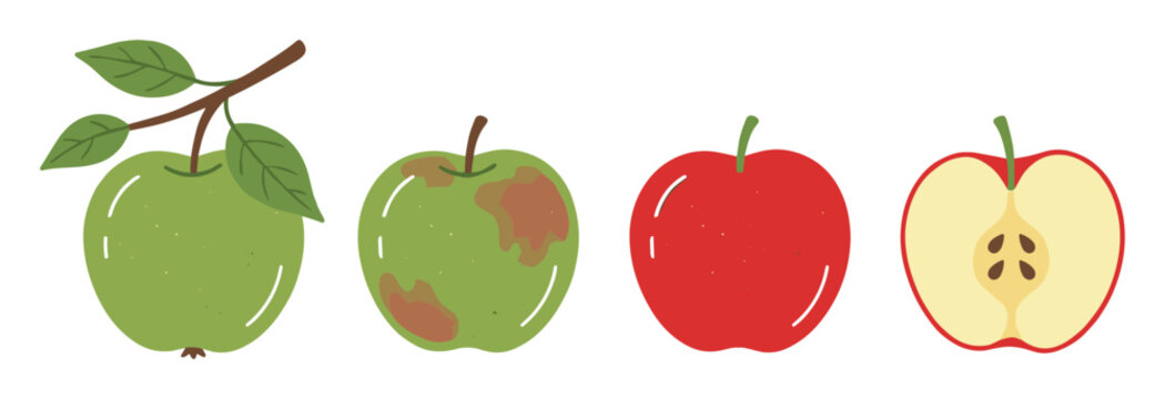 Vector icons of green and red apples, including sliced and bruised fruit.